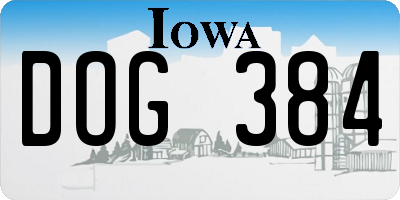 IA license plate DOG384