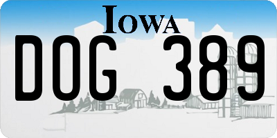 IA license plate DOG389