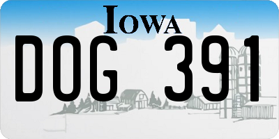 IA license plate DOG391