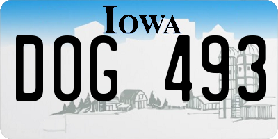 IA license plate DOG493