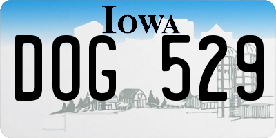 IA license plate DOG529