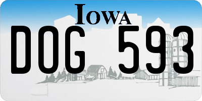 IA license plate DOG593
