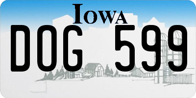 IA license plate DOG599