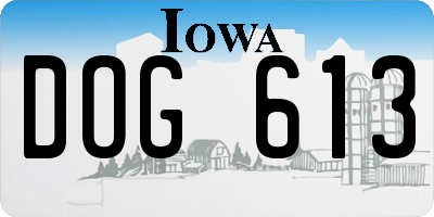 IA license plate DOG613