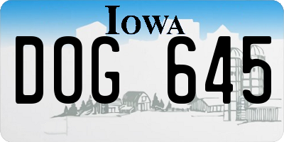 IA license plate DOG645