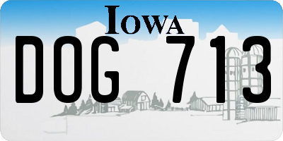 IA license plate DOG713