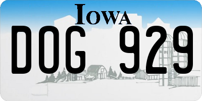 IA license plate DOG929