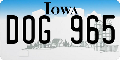 IA license plate DOG965