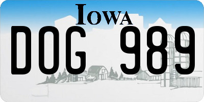 IA license plate DOG989