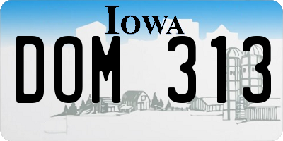 IA license plate DOM313