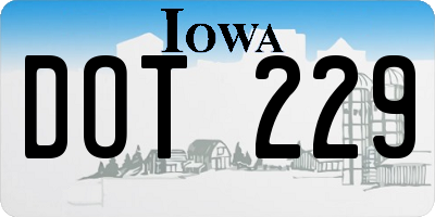 IA license plate DOT229