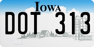 IA license plate DOT313