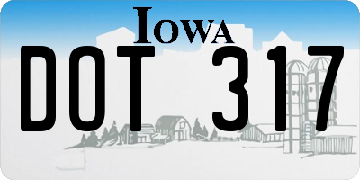 IA license plate DOT317