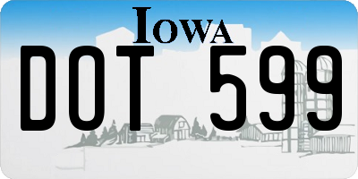 IA license plate DOT599