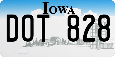 IA license plate DOT828