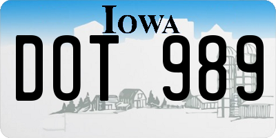 IA license plate DOT989