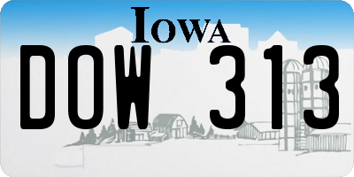 IA license plate DOW313