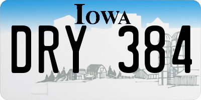 IA license plate DRY384