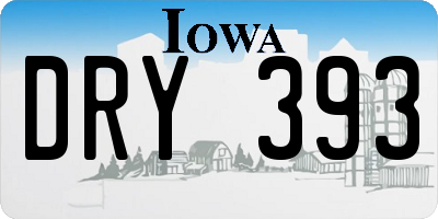 IA license plate DRY393