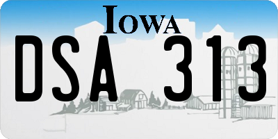 IA license plate DSA313