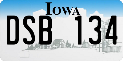 IA license plate DSB134