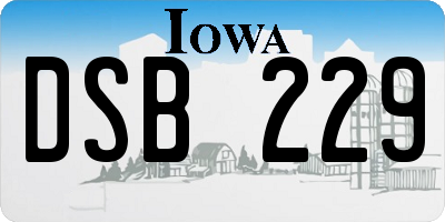 IA license plate DSB229