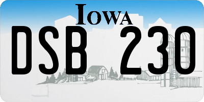 IA license plate DSB230