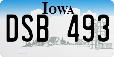 IA license plate DSB493