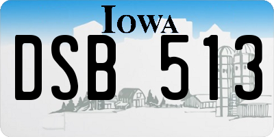 IA license plate DSB513