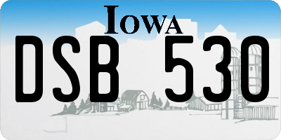 IA license plate DSB530
