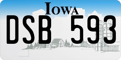 IA license plate DSB593