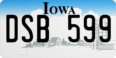 IA license plate DSB599