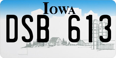 IA license plate DSB613