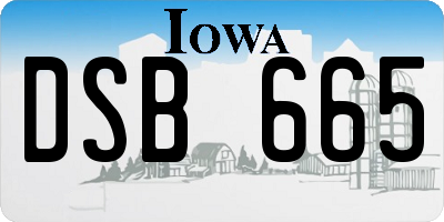 IA license plate DSB665