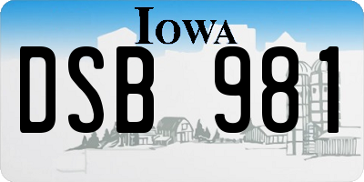 IA license plate DSB981