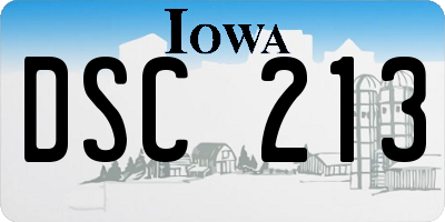 IA license plate DSC213