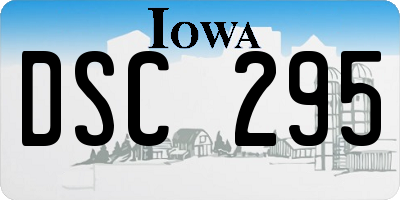 IA license plate DSC295