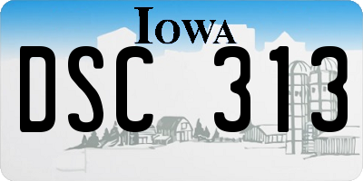 IA license plate DSC313