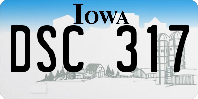 IA license plate DSC317