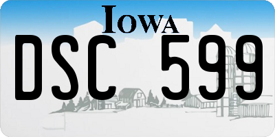 IA license plate DSC599