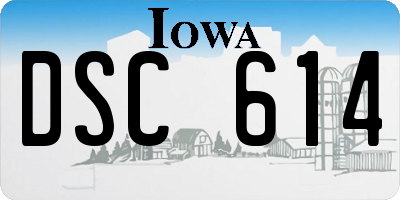 IA license plate DSC614
