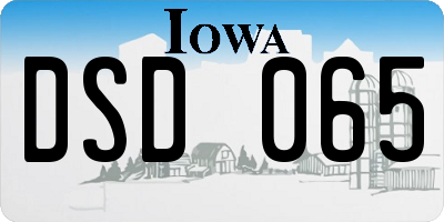 IA license plate DSD065