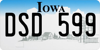IA license plate DSD599