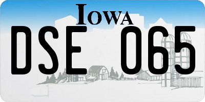 IA license plate DSE065