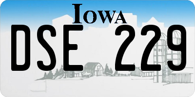 IA license plate DSE229