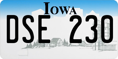 IA license plate DSE230