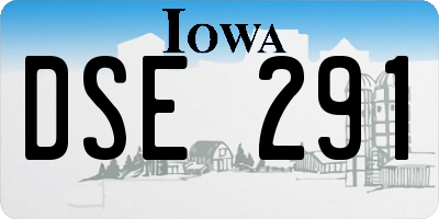 IA license plate DSE291
