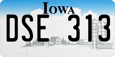 IA license plate DSE313