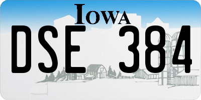 IA license plate DSE384