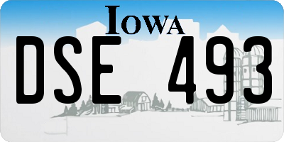 IA license plate DSE493